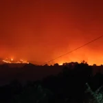 Bilecik’te korkutan orman yangını