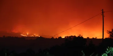 Bilecik’te korkutan orman yangını