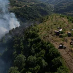 Düzce Yığılca’da orman yangını!