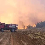 Son 1 haftada 624 orman yangını