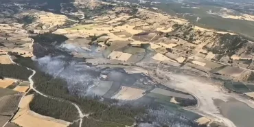 Bursa Yenişehir’deki orman yangını kontrol altındd