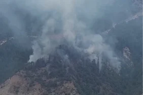 Karabük Yeşilköy’de orman yangını