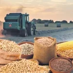 Tarımsal ürün fiyatları ve endekslerde yükseliş