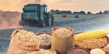 Tarımsal ürün fiyatları ve endekslerde yükseliş