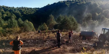 Bilecik Pazaryeri’nde alevler ormana ulaşmadan söndürüldü