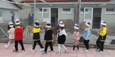 Muğlalı minik yüreklerden can dostlara ziyaret